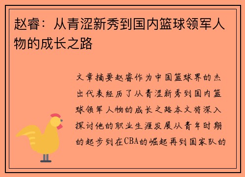 赵睿：从青涩新秀到国内篮球领军人物的成长之路